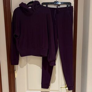 Splendid Knit  Hoodie and Jogger Set